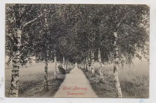 8202 BAD AIBLING, Birkenallee, 1910