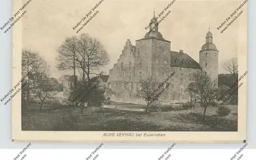 5350 EUSKIRCHEN - WISSKIRCHEN, Burg Veynau, 1920