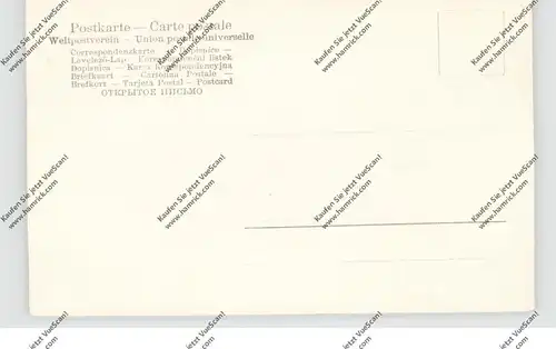 5330 KÖNIGSWINTER, Gruss vom Drachenfels, Drachenburg, Drachensage, Zwerge, 1904