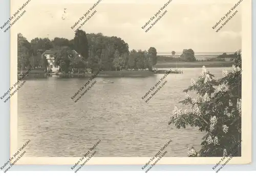 0-2070 RÖBEL / Müritz, Blick auf Seestern, 1956