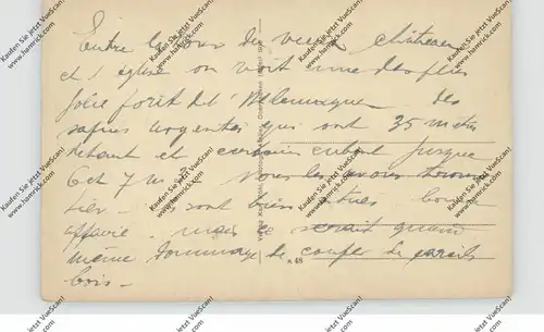 5374 HELLENTHAL - REIFFERSCHEID, Gesamtansicht  1918, kl. Druckstelle