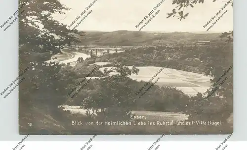 4300 ESSEN - BALDENEY, Blick von der Heimlichen Liebe auf Villa Hügel und das Ruhrtal, 1929