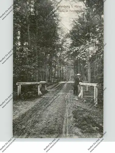 2720 ROTENBURG / Wümme, Partie im Forsthofe, 1909
