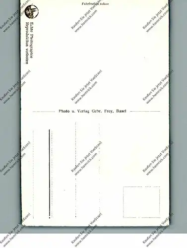 CH 4000 BASEL BS, Spalentor