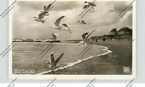 2280 SYLT - WESTERLAND, Möven am Strande, 1930