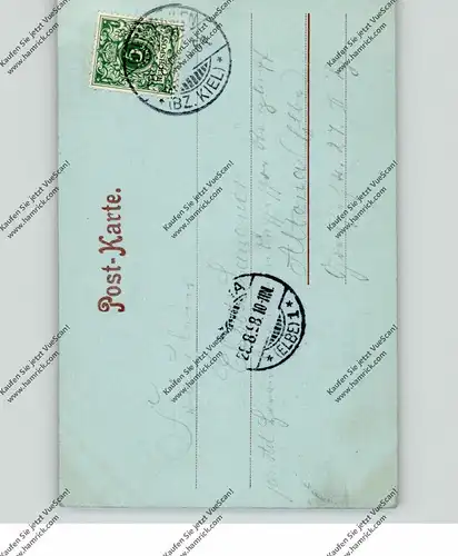 2420 EUTIN, Gruss vom Uglei, Blick vom Forsthaus, 1898