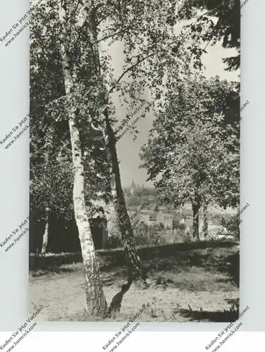 0-1512 WERDER / Havel, Blick von der Wachtelburg auf Potsdamer Strasse und die Insel, 1959
