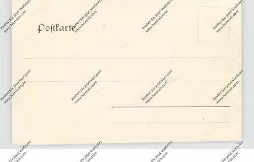 0-2355 SASSNITZ - STUBBENKAMMER, Herthabuche, ca. 1905