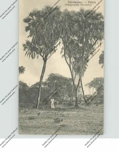 TANZANIA - DARESSALAM, Palms