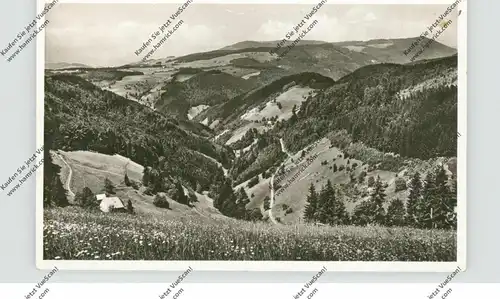 7820 TITISEE-NEUSTADT-WALDAU, Blick auf Waldau, Landpoststempel 1952