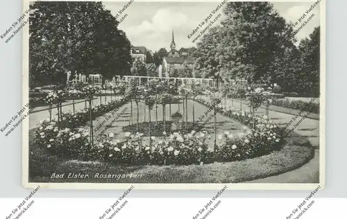 0-9933 BAD ELSTER, Rosengarten, 193...