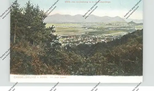 5300 BONN - VENUSBERG, Casselsruhe, Blick  zur Godesburg und Siebengebirge, 1906