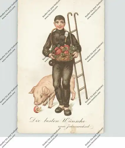 BERUFE - SCHORNSTEINFEGER / Chimney Sweeper / Ramoneur, mit Schwein