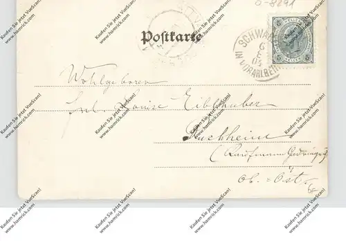 0-8291 PANSCHWITZ - KUCKAU, Gruss aus.... 1904