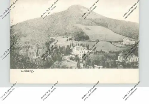 5330 KÖNIGSWINTER - ITTENBACH, Ölberg, , ca. 1905