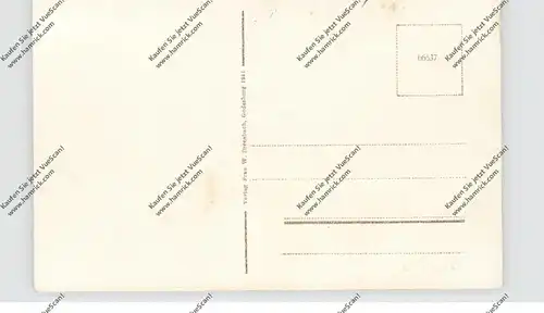 5300 BONN - BAD GODESBERG, Dampfschiffanlagestelle, Binnenschiffe Rhein, 1911