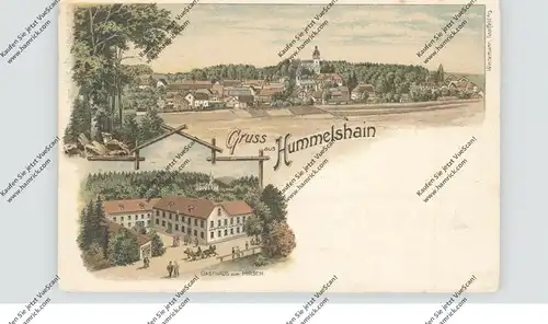 0-6800 SCHMÖLLN - HUMMELSHAIN, Lithographie, Gasthaus zum Hirsch, Gesamtansicht