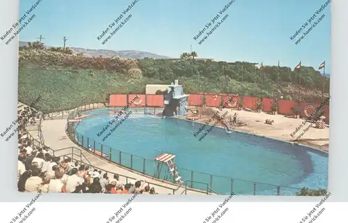 USA - CALIFORNIA - PALOS VERDES, Marineland, The Sea Arena