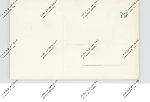 LANDWIRTSCHAFT, Heuernte, Photo-AK