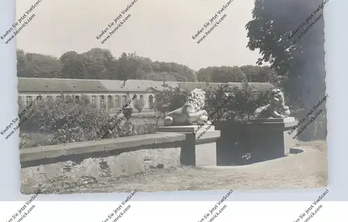 7500 KARLSRUHE, Orangerie, Photo-AK