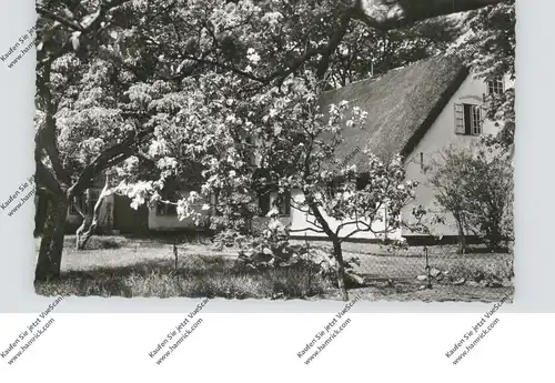 2280 SYLT, Friesenhaus, 1961