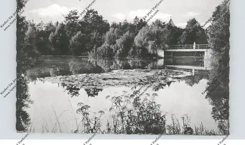 2200 ELMSHORN, Partie aus der Lieth, 1955