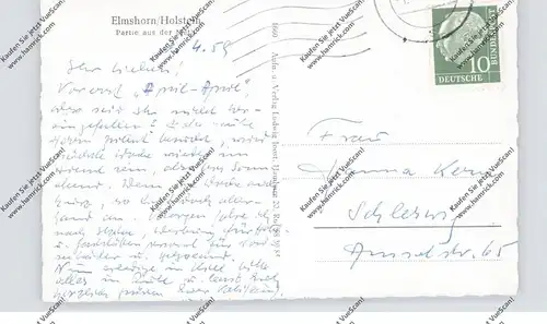 2200 ELMSHORN, Partie aus der Lieth, 1955
