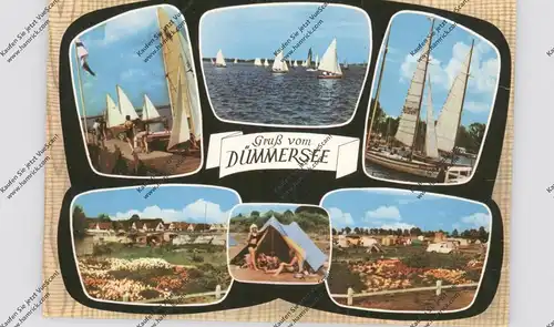 2844 LEMFÖRDE, Dümmer-See, Gruss vom..