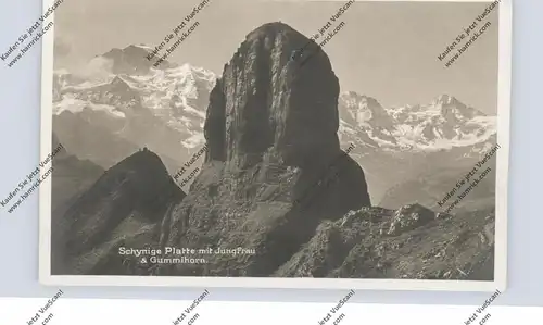 CH 3800 INTERLAKEN BE, Schynige Platte mit Jungfrau