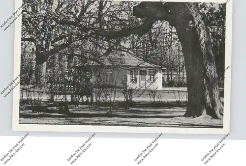 0-2560 BAD DOBERAN, Friedenstempel Am Kamp, 1957