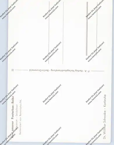 MEDIZIN - Homöopathische Heilpflanzen, Mezerum / Seidelbast, Fa. Dr. Wilmar Schwabe - Karlsruhe