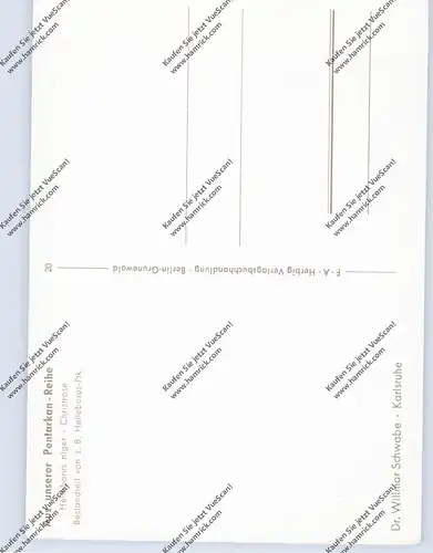 MEDIZIN - Homöopathische Heilpflanzen, Helleborus niger / Christrose, Fa. Dr. Wilmar Schwabe - Karlsruhe