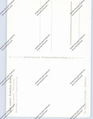 MEDIZIN - Homöopathische Heilpflanzen, Carduus marianus / Mariendistel, Fa. Dr. Wilmar Schwabe - Karlsruhe