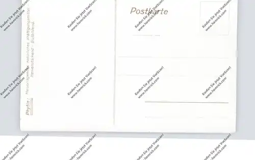 CH 7450 TIEFENCASTEL GR, Kirche, Phytin-Werbekarte