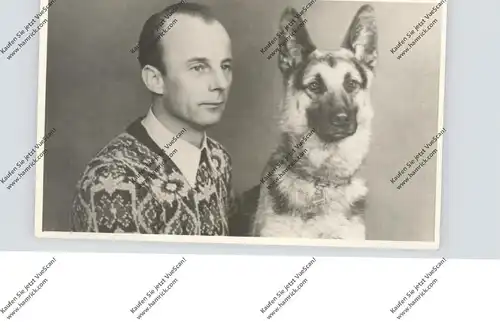 HUNDE - SCHÄFERHUND & KATZE, Chien de Berger / Shepherd Dog / Herdershond