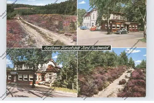 2093 STELLE, Gasthaus Kieselshöh, Forst Bachwedel, Oldtimer VW-Käfer