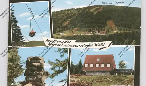 8379 BISCHOFSMAIS - UNTERBREITENAU, Geiskopfhütte