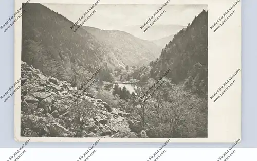 F 68380 METZERAL, Fischboedle vom Schwalbennest aus gesehen