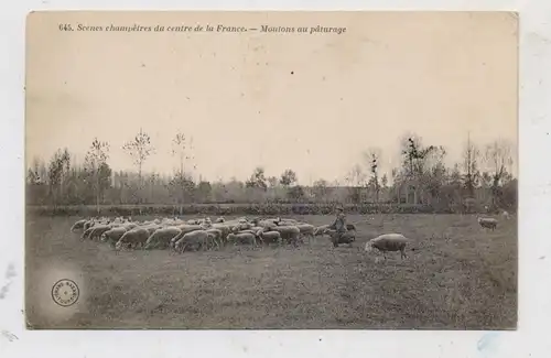 LANDWIRTSCHAFT - Schafherde Frankreich, Moutons / Sheeps, ca. 1910