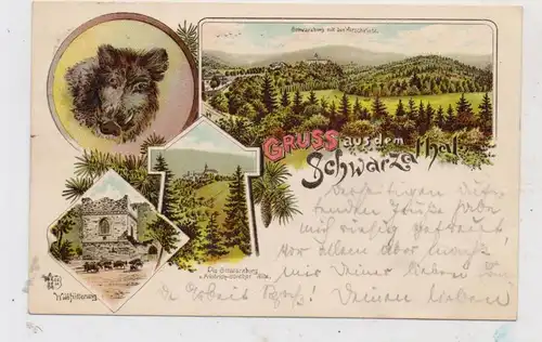 0-6825 SCHWARZBURG, Lithographie 1897, Wildschweinkopf, Wildfütterung, Schwarzburg, Ortsansicht