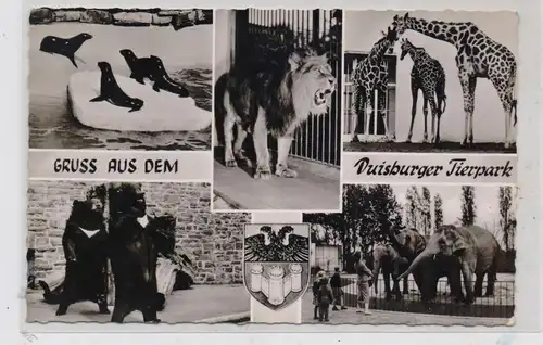 4100 DUISBURG, Tierpark / Zoo, 1961