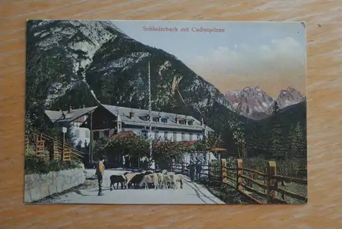 I 39034 TOBLACH - SCHLUDERBACH mit Cadinspitze, Ziegenherde