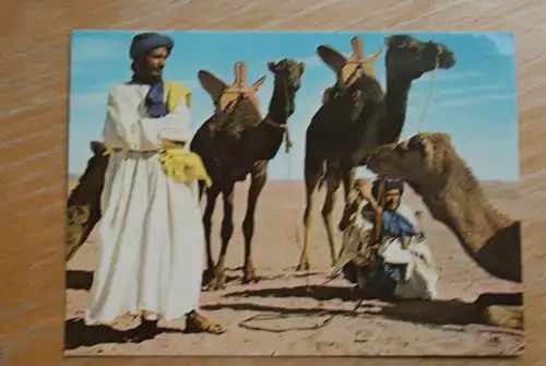 MA - Marokko, Maroc, Hommes bleus et leurs Mahara, Kamele - Camel, Ethnic