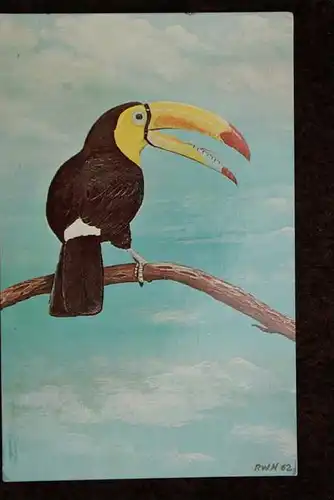TIERE - Vögel - Birds -Toucan - Tukan, Künstlerkarte - artist card, Artist: Roland W. Hawkins