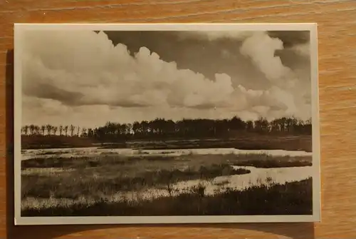 NL - NOORDHOLLAND - HILVERSUM - Klein Waschmeer - Paaswandeling 1950