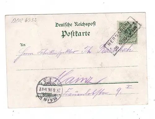 0-6532 BAD KLOSTERLAUSNITZ, Lithographie 1895, Bahnhof, Friedrichs-Hof, Kastenstempel, leichte Druckstellen