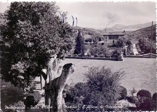 I 57037 PORTOFERRAIO / Elba, L'Albero di Napoleone, 1955