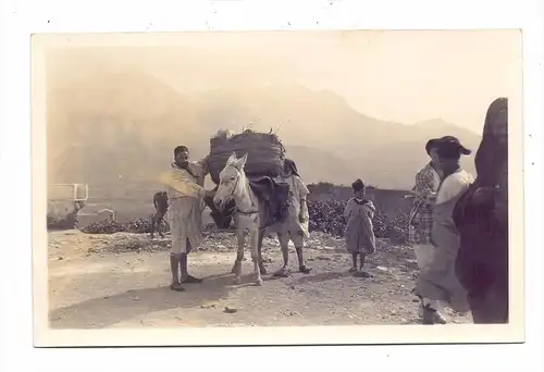 MAROKKO _ TETOUAN / TETUAN - Esels-Transport, Photo-AK, 20er Jahre