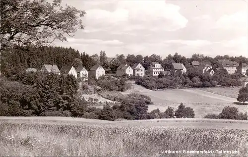 5232 FLAMMERSFELD, Teilansicht, 1956