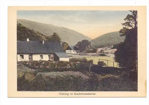 5990 ALTENA - BRACHTENBECK, Brachtenbeckertal